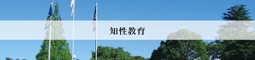 知性教育